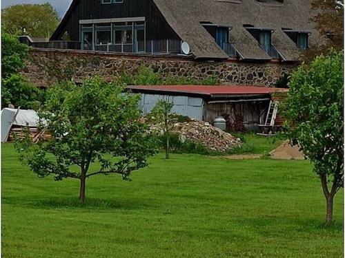 Feriehus - 16 personer -  - 17209 - Sietow