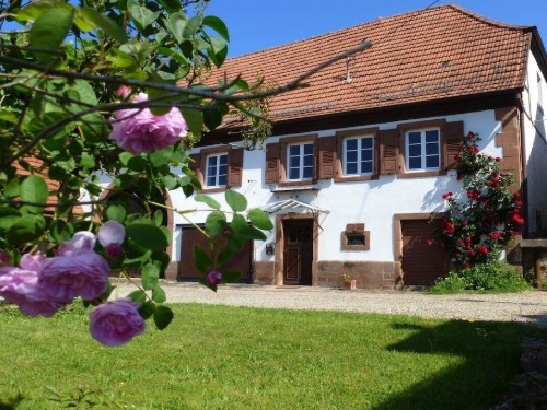Ferienhaus - 5 Personen -  - 67510 - Obersteinbach