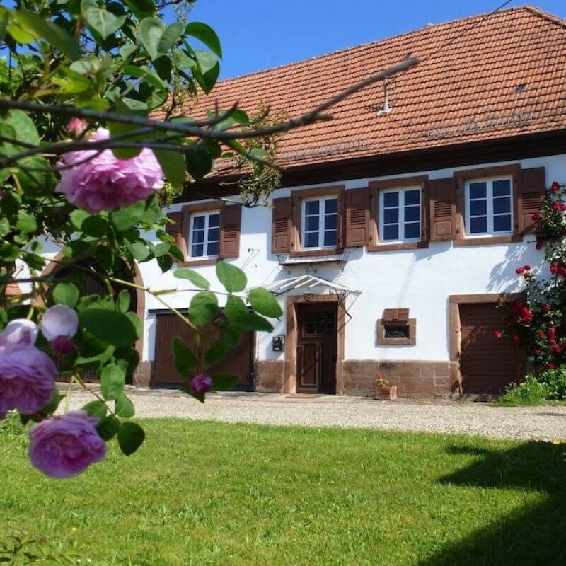 Sommerhus - 5 personer -  - 67510 - Obersteinbach