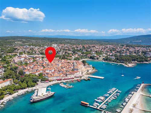 Ferienwohnung - 2 Personen -  - Ul. dr. Dinka Vitezica - 51500 - Krk