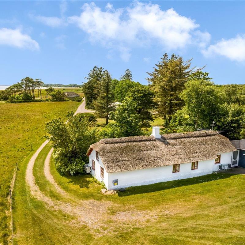 Ferienhaus - 6 Personen -  - Søndre Øsløsvej - Amtoft - 7742 - Veslös
