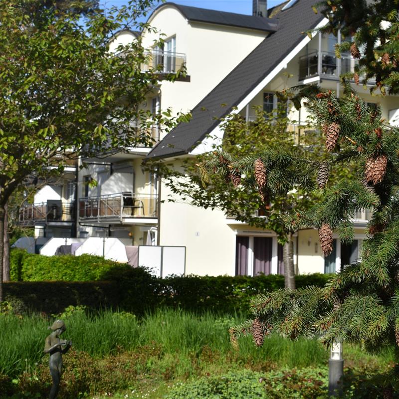 Ferielejlighed - 2 personer -  - Am Kurpark - 18586 - Baabe