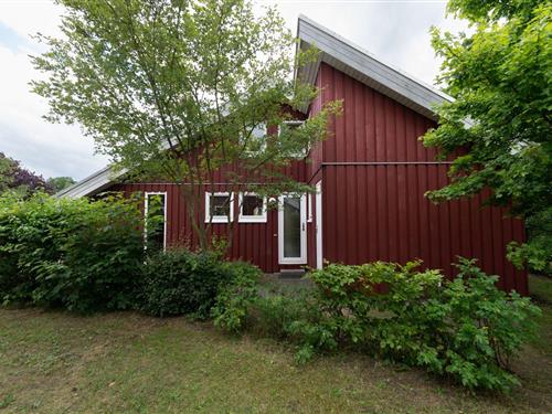 Sommerhus - 6 personer -  - Walter-Gotsmann-Straße - 17252 - Mirow