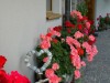 Bild 20