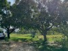 Image 22 - Outside