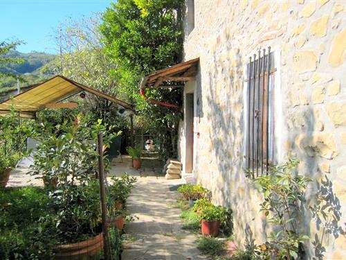 Hytte - 8 personer -  - 51010 - Marliana