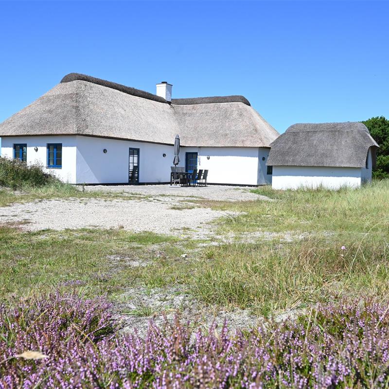 Sommerhus - 6 personer -  - Blåklokkevej - Vedersø Klit - 6990 - Ulfborg