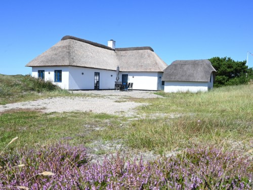 Sommerhus - 6 personer -  - Blåklokkevej - Vedersø Klit - 6990 - Ulfborg