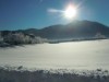 Bilde 5