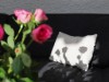 Bild 8 - Innen