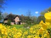 Billede 9