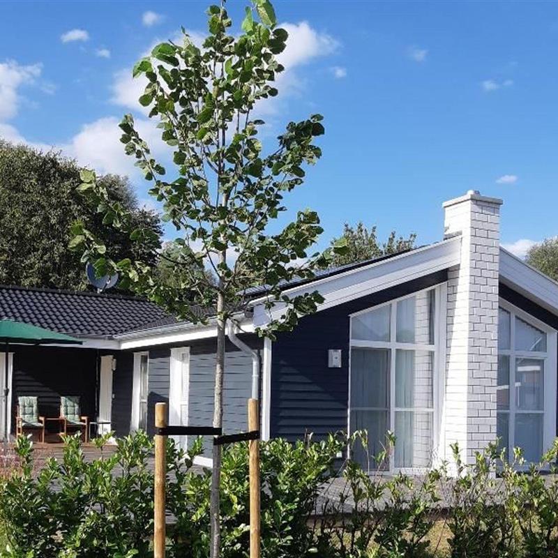 Sommerhus - 4 personer -  - Seepark 31 - Seepark Nordhorn - 48529 - Nordhorn