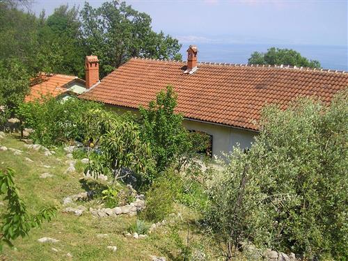 Semesterlägenhet - 9 personer -  - Antona Dminaka - 51414 - Icici