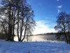 Bild 17