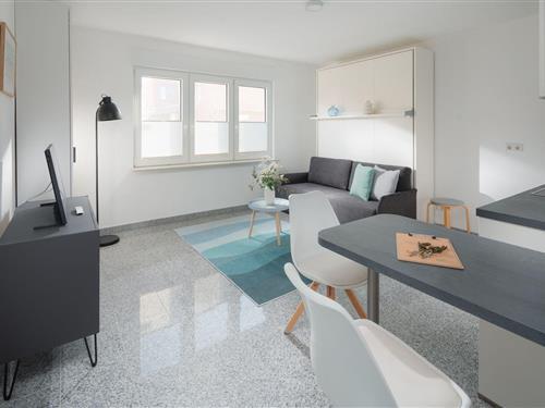 Ferielejlighed - 2 personer -  - Birkenweg - 26548 - Norderney