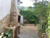 Bild 21