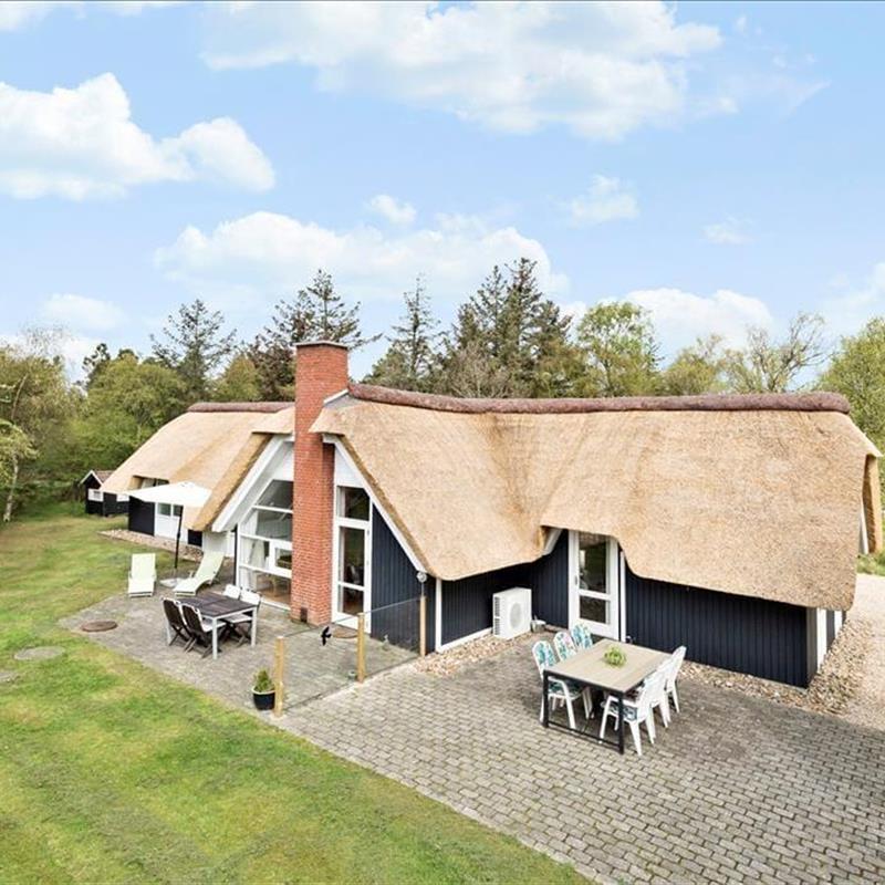 Ferienhaus - 8 Personen -  - Gl Hovej 39 C - 6857 - Blavand