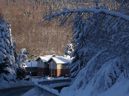 Semesterhus/Semesterlägenhet - 5 personer -  - 09623 - Rechenberg Bienemuhle