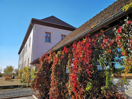 Semesterhus/Semesterlägenhet - 2 personer -  - Rittergut Positz - 07381 - Oppurg