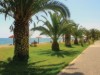 Bilde 5