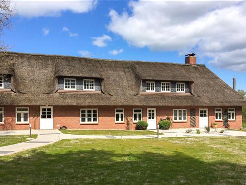 Ferienhaus - 4 Personen -  - Westerwarf - 25842 - Langenhorn