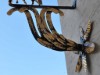Bilde 4