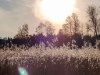 Bilde 34 - Utsikt over vann