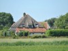 Image 16