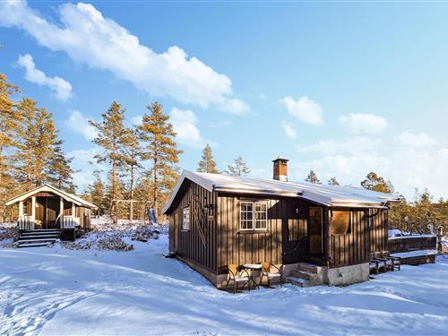 Sommerhus - 8 personer -  - Buenveien - Blefjell - 3614 - Kongsberg