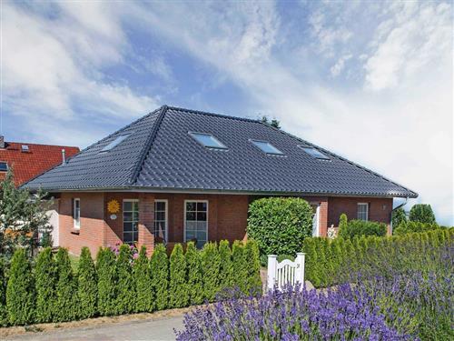 Ferienhaus - 7 Personen -  - Amselring - 17424 - Heringsdorf (Seebad)