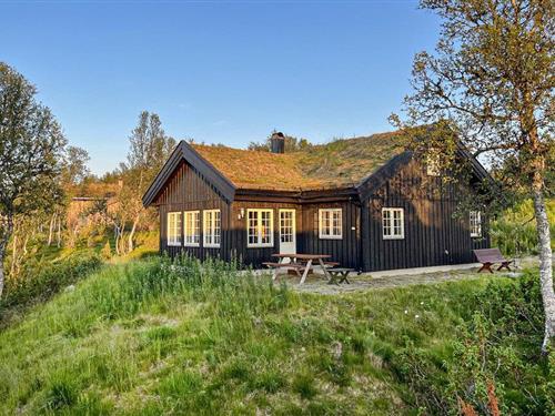 Sommerhus - 9 personer -  - Storhaugvegen - 3874 - Rauland