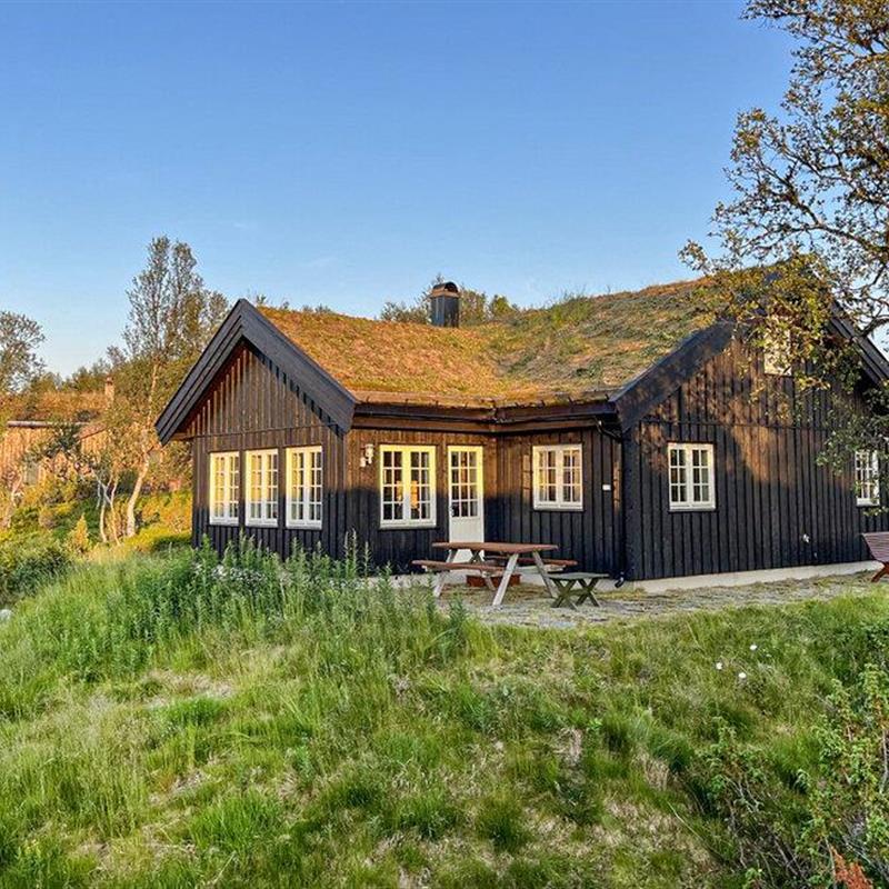 Sommerhus - 9 personer -  - Storhaugvegen - 3874 - Rauland