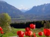 Billede 8