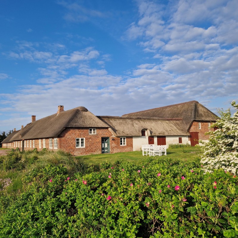 Sommerhus - 4 personer -  - Holmsland Klitvej - Nr. Lyngvig - 6960 - Hvide Sande