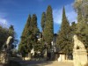 Image 3 - Outside