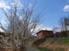 Bilde 5