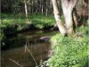 Billede 10