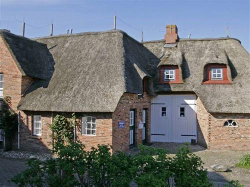 Semesterhus/Semesterlägenhet - 4 personer -  - Haus - 25938 - Oldsum