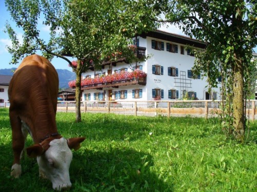 Bondegård - 2 personer -  - Raitener Strasse - 83259 - Schleching