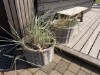 Billede 27 - Terrasse