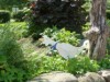 Bilde 3