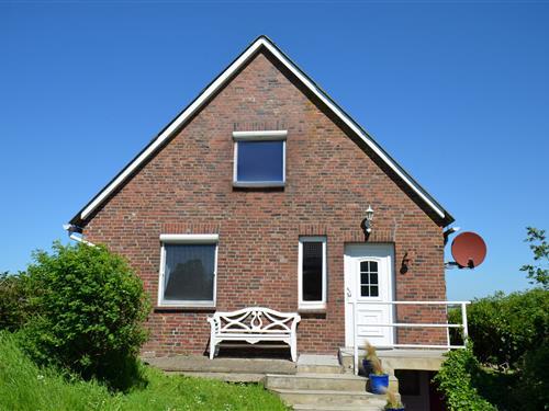 Holiday Home/Apartment - 5 persons -  - Hamburger Deich - 25845 - Nordstrand - Nordsee