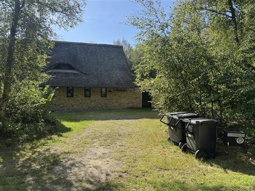 Sommerhus - 9 personer -  - Fyrregangen - Rødhus - 9490 - Pandrup