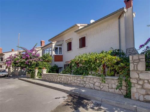 Ferielejlighed - 3 personer -  - Josipa Antuna Kraljica - 51550 - Mali Losinj