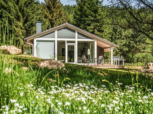 Feriehus - 4 personer -  - Altensteiner Straße - 99842 - Ruhla