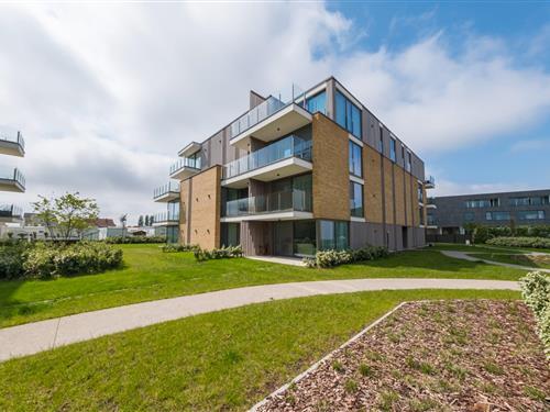 Ferielejlighed - 4 personer -  - 8430 - Middelkerke