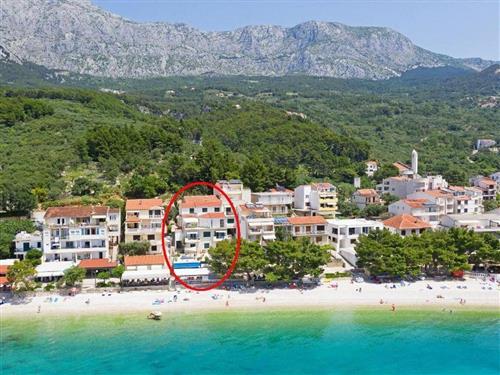 Ferieleilighet - 4 personer -  - Donji ratac - 21325 - Tucepi