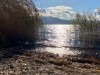 Billede 19