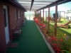 Billede 6