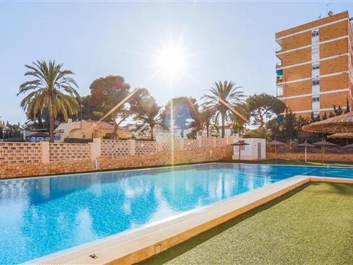 Semesterhus/Semesterlägenhet - 6 personer -  - Calle del Carmen - La Zenia - 03189 - Orihuela